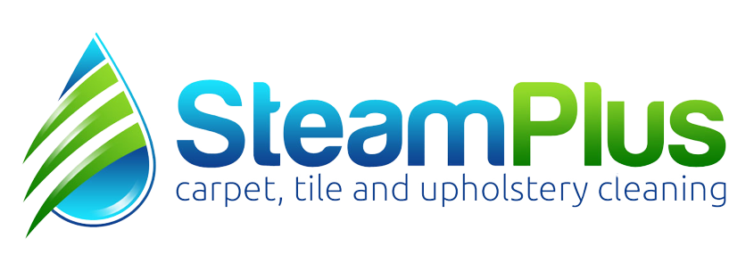 img/steampluslogo-removebg-preview.png